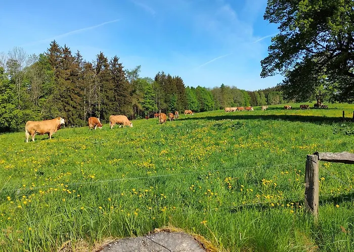 Zdomek *